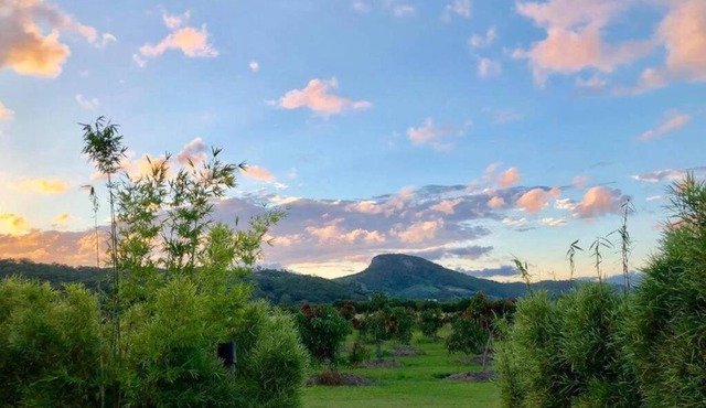 Orchard Cottage - modern Australian Sunshine Coast holiday cottage on organic farm nr beach