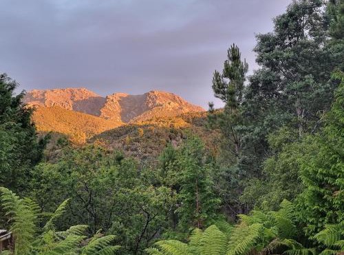 Owen Cottage Queenstown Tas Genuine Comfort and Views