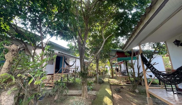 Pai Modern House in Pai