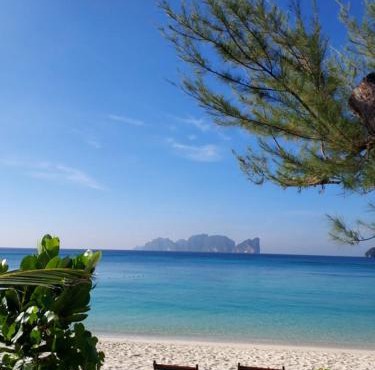 Paradise Pearl Bungalows in Phi Phi Islands