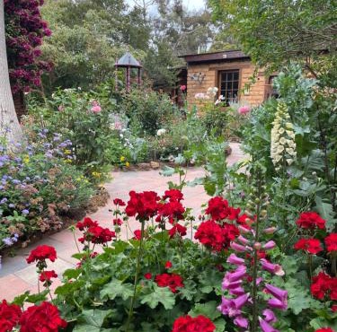 Patricias Garden Studio