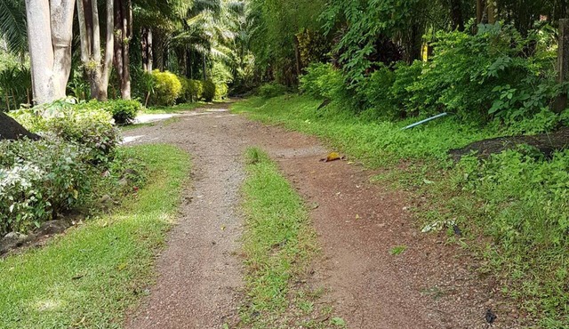 Phanom Bencha Mountain Resort in Krabi
