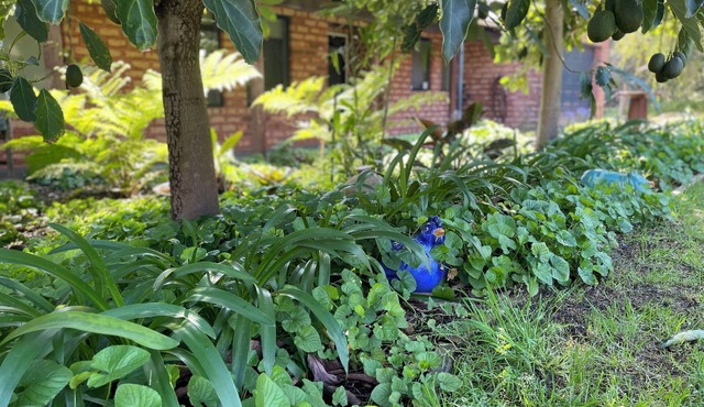 Ping Willows Guesthouse: Spacious Accommodation in the Perth Hills