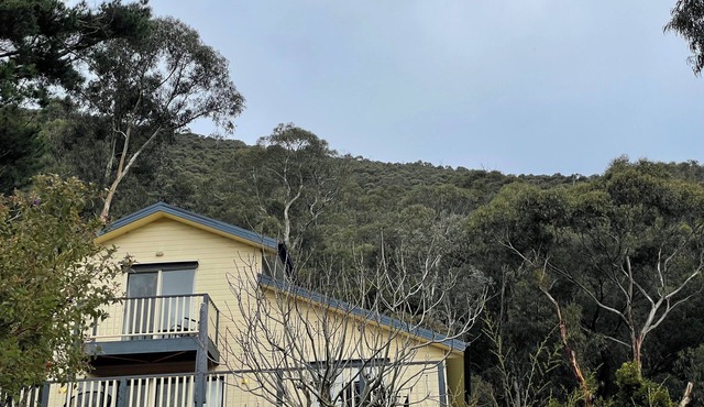 'Pippa's Place' Family friendly, newly renovated sanctuary atop Mt Little Joe