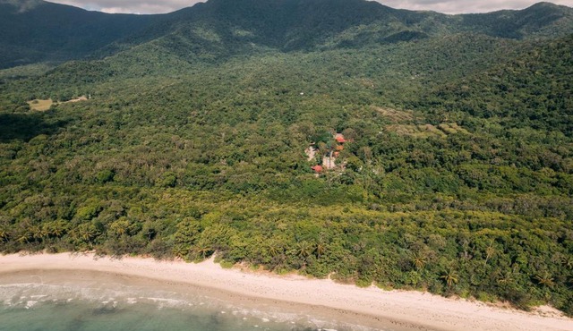 PK's Jungle Village