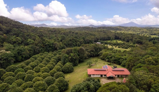 Platypus Mountain Retreat - secluded rainforest escape