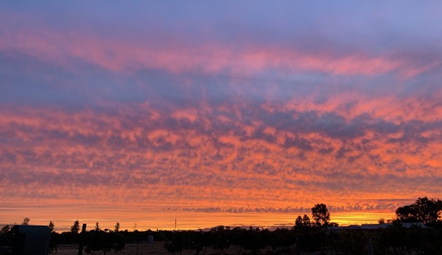 Poplars Farmstay - Swan Valley