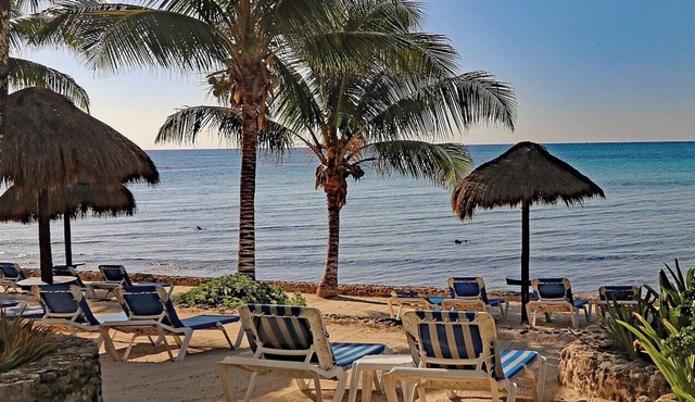 Private Beachfront w/Lanai-Pool-Tropical Gardens! in Akumal