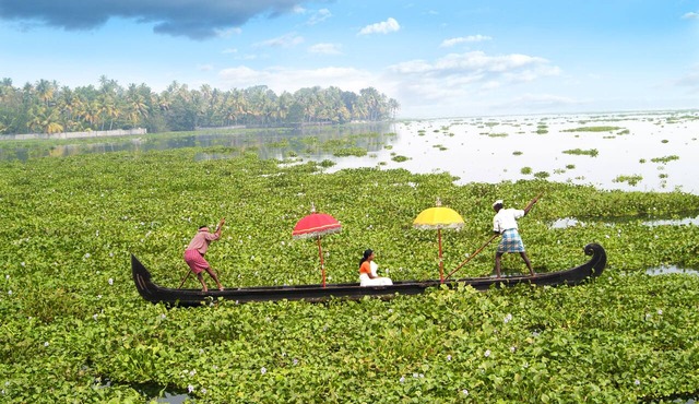 Purity at Lake Vembanad in Cherthala