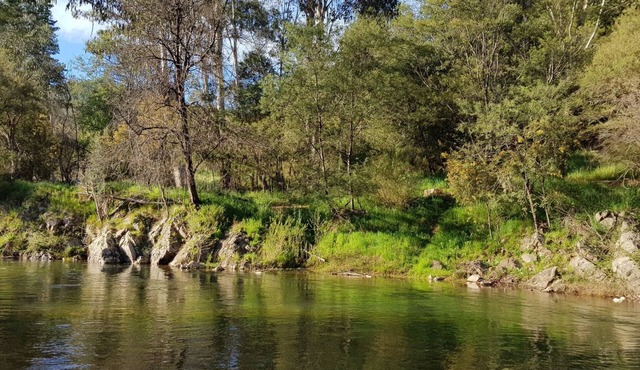 Rail Trail River House