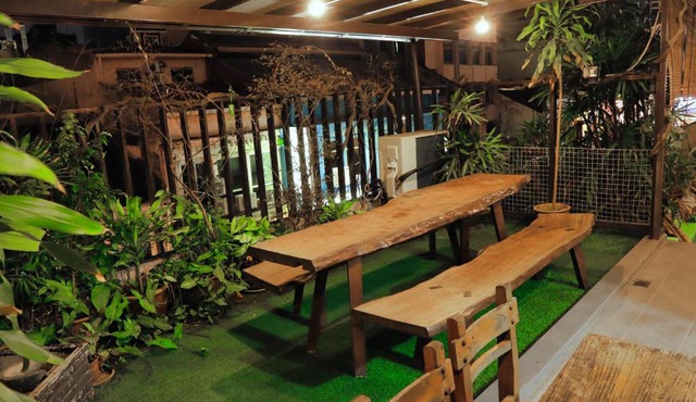 Rain Forest Hotel