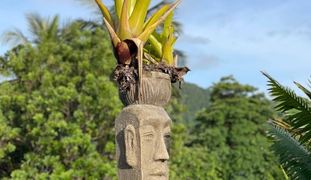 Rainforest King Rooms | Shared Kitchen + Lounge | Sleeps 2–8