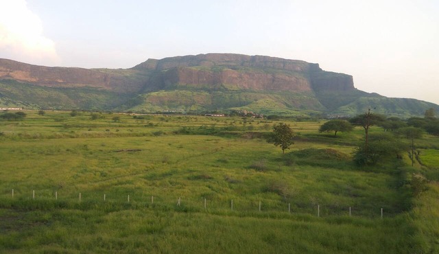 Rajasthani Rajwadi Hotel & Restaurant