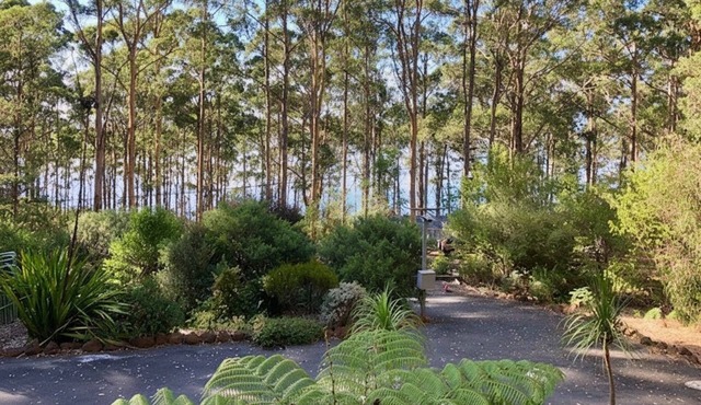 Raylea Retreat - Rest and Relax surrounded by nature - fur baby friendly!