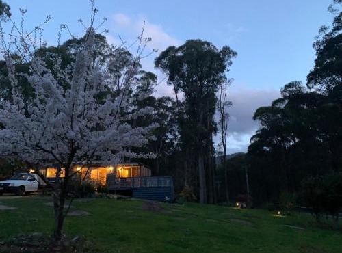 Retreat in a beautiful forest!