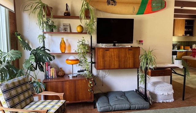 Retro Shack, Cool, Pets, Beach!