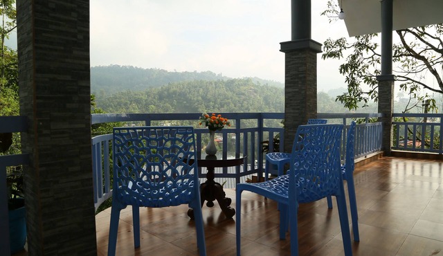Room-1 Bedroom With Balcony Mountain Vie