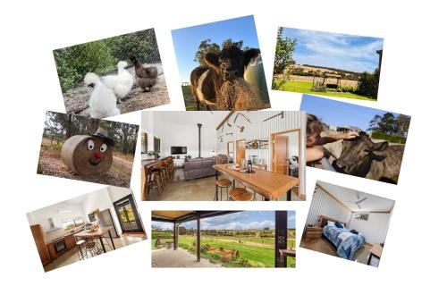 Rosa Glen Retreat - Farm Stay, Margaret River