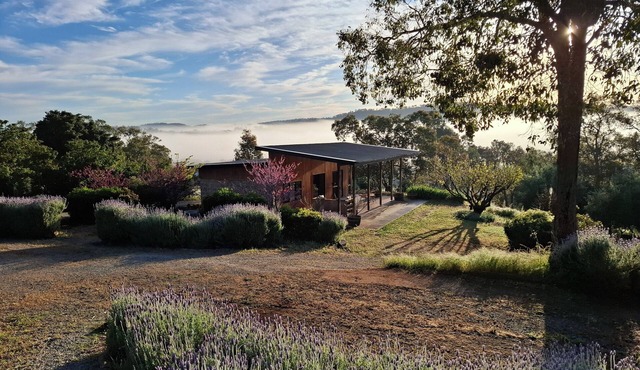 Rosie's Cottage Bindoon