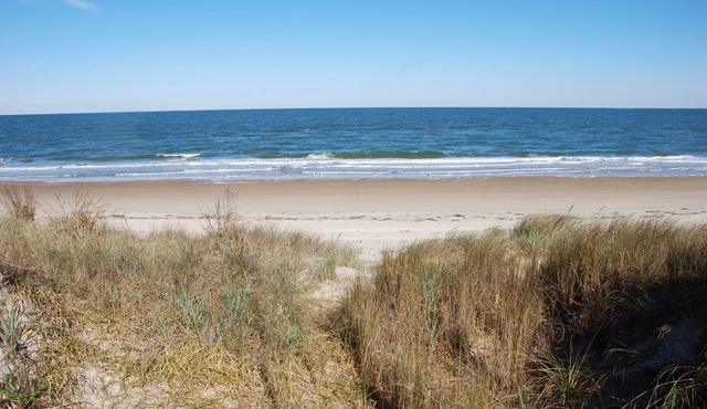 Rustic Beach Front Apartment - Cozy, Rustic and On the Beach! - 2 BR/1.5 Bath in Norfolk