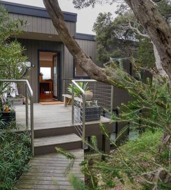 SaltBush