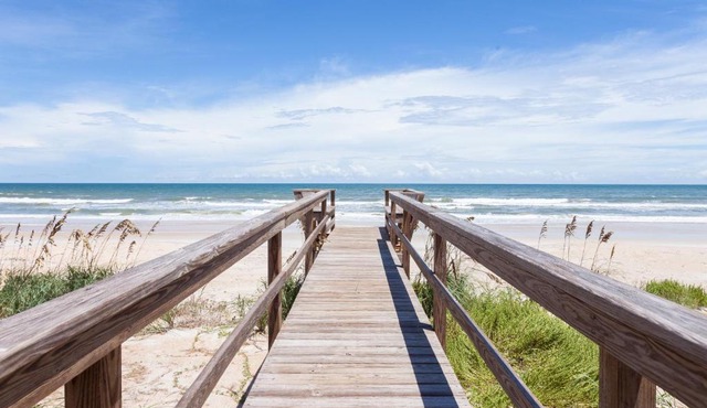 Seashell in Ponte Vedra