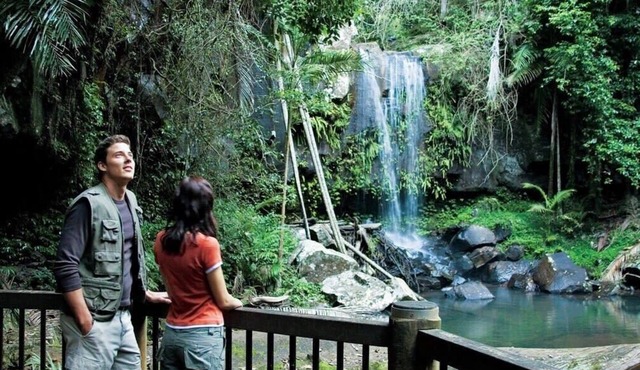 Serene Mountain Cabin Retreat - Tamborine Mountain