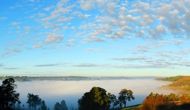 Serene Pet-Friendly Escape with Stunning Views