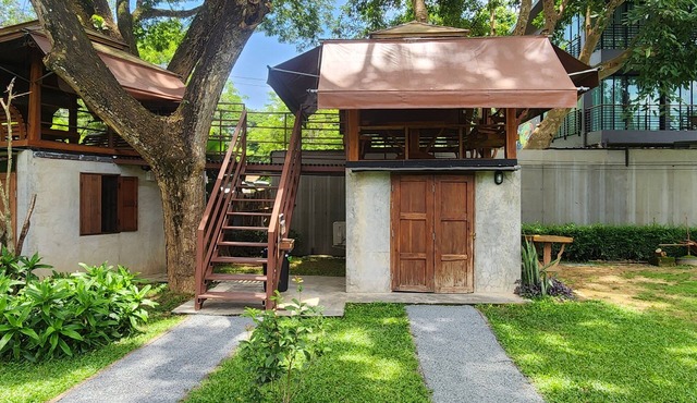 Seven 50s in Pai