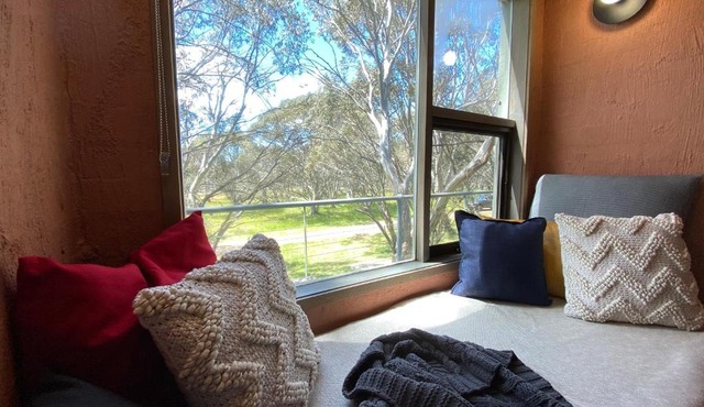 Snowgums 11