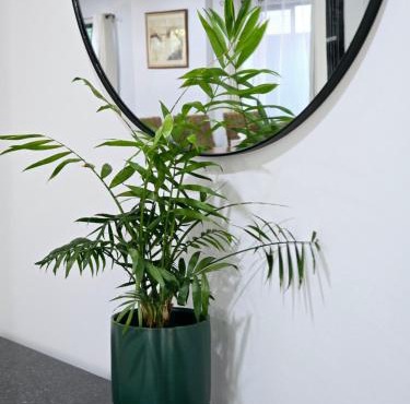 Spacious and stylish house, close to Metro, fully AC