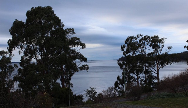 Spot The Sea Eagle