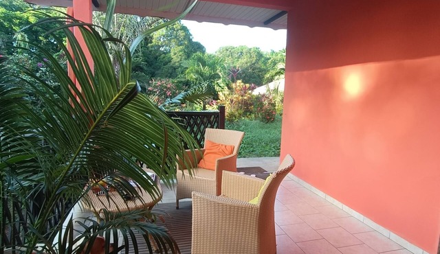 Studio with terrace and garden in the heart of an Amazonian plant nursery