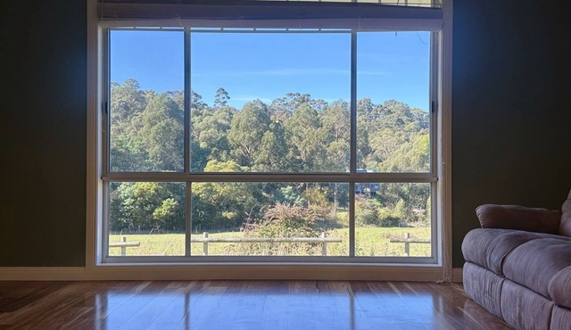 Sunlit Sanctuary at Kingston