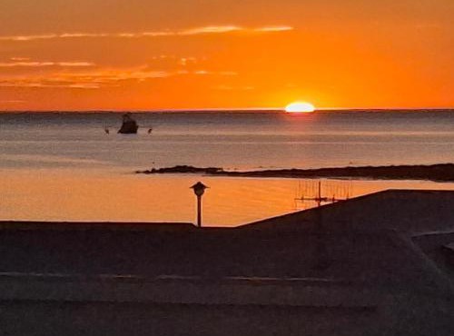 Sunsethome Wallaroo