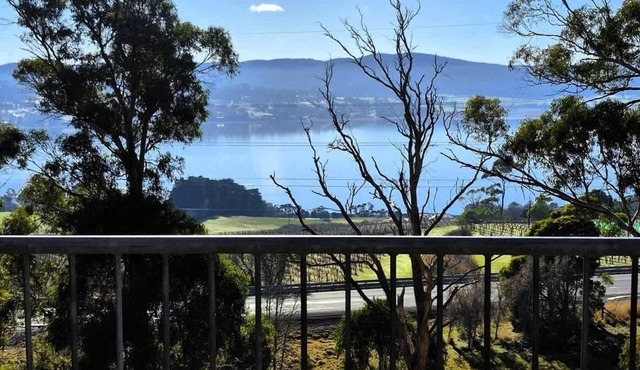 Tamar Tonic - Lush River Views