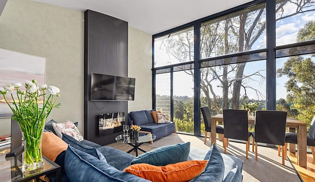 Tamar Valley Tree Top