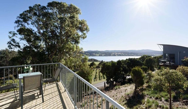 Tamar Valley Treetop Retreat with River Views
