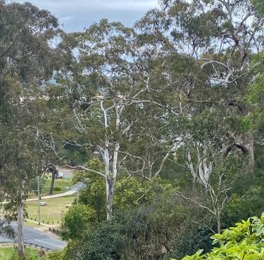 Tathra Views