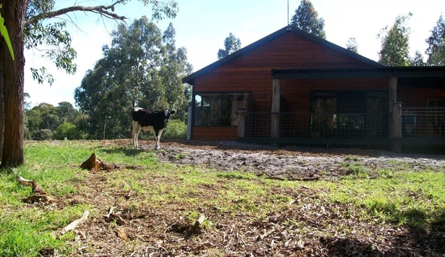Tea tree cottage a quiet place to relax and unwind