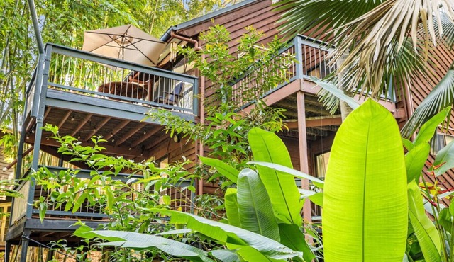 The Bamboo Base at Buderim