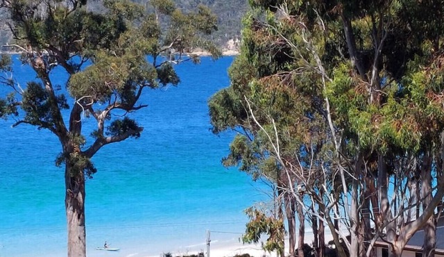 The Beach Box at Big Roaring Beach Tasmania
