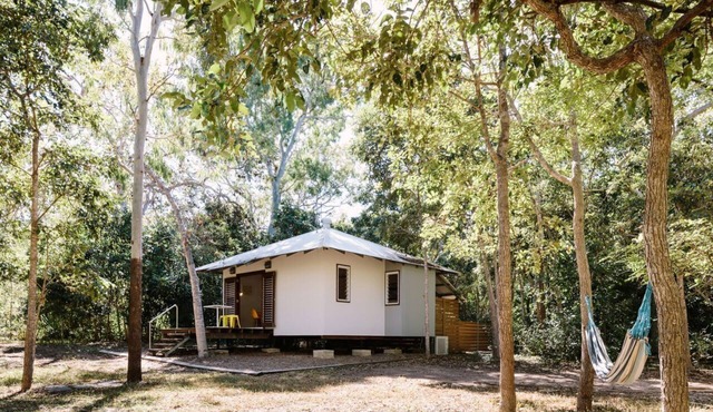 The Little Bush Hut