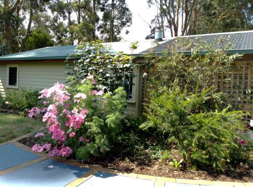 The Olive House Tasmania