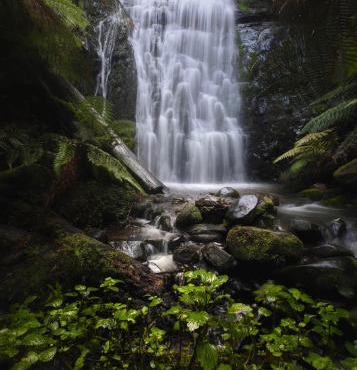 The Source, Otways