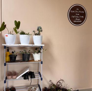 The WildFern Homestay with self cooking facility