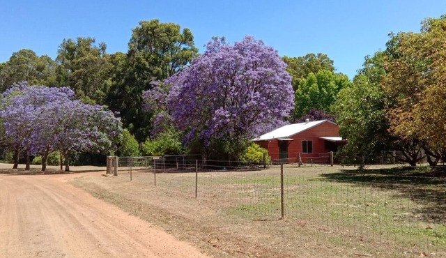 Three Bedroom Cottage - Sleeps 8 - Self contained 3 Bedroom Cottage 1 King, 1 Queen and 2 Bunks