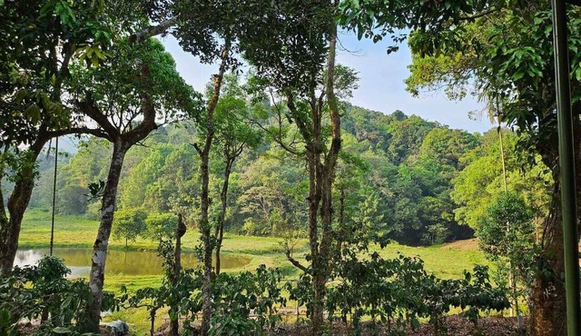 Three Hills Resort & Spa, Coorg