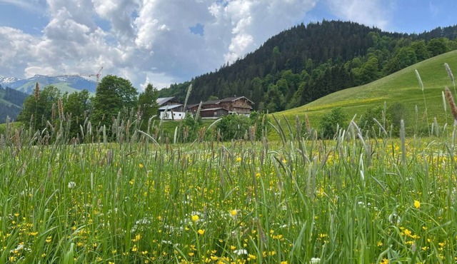 To the sleeping Jungfrau - holiday home, bathroom, toilet, deluxe in Hinterthal