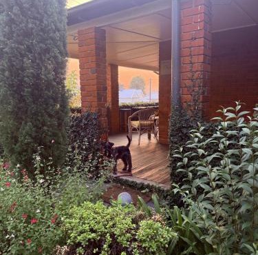 Towncottage Tenterfield Stay with Scenic Views